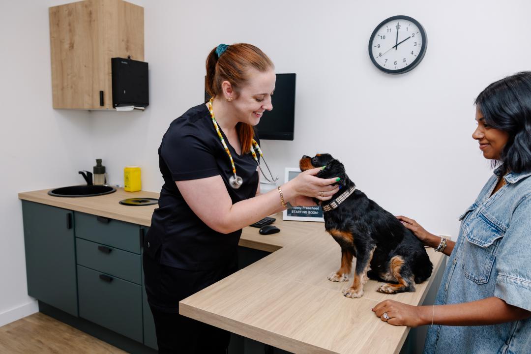 veterinary behaviourist