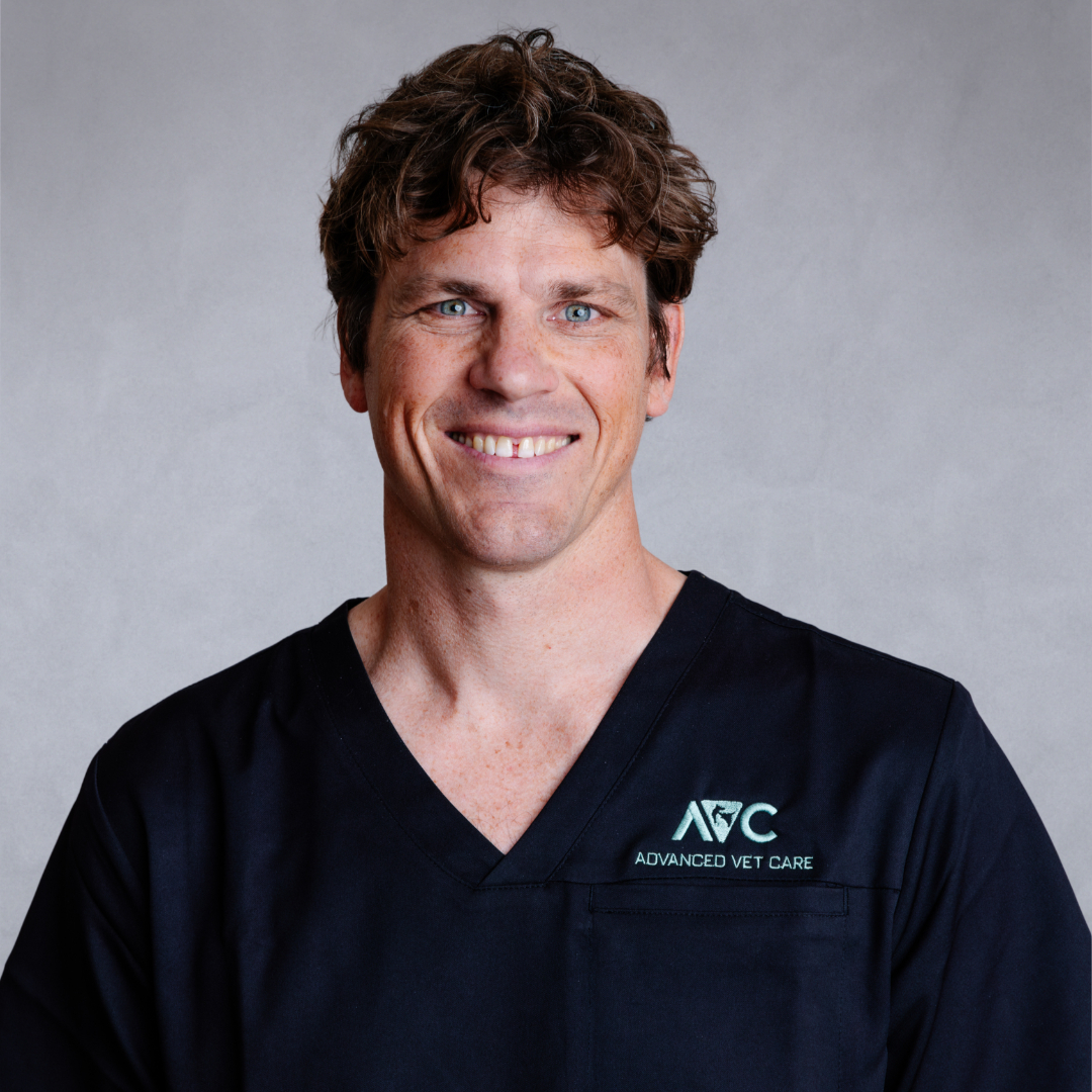 Dr Michael Stephen, BVSc, MVS